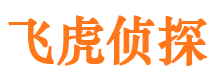 日照市调查公司